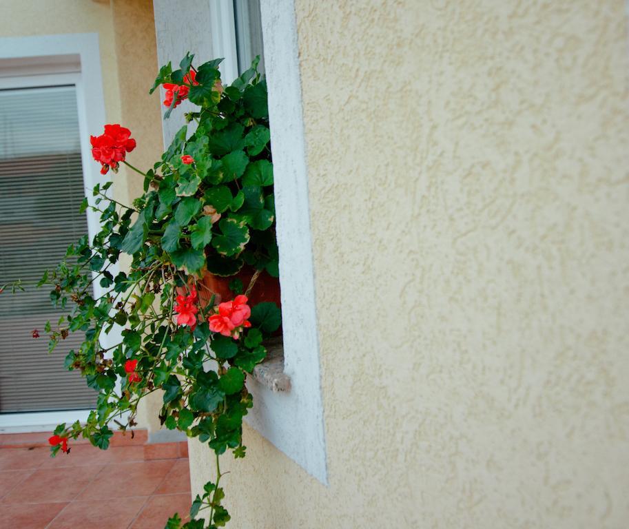 Pansion Veso Medjugorje Hotell Rom bilde